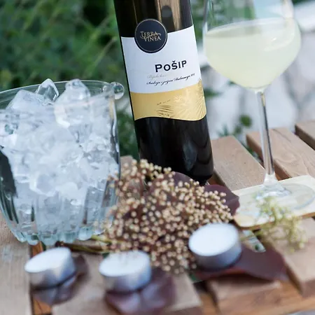 Bell Memories- With Terrace And Street View A1 アパート