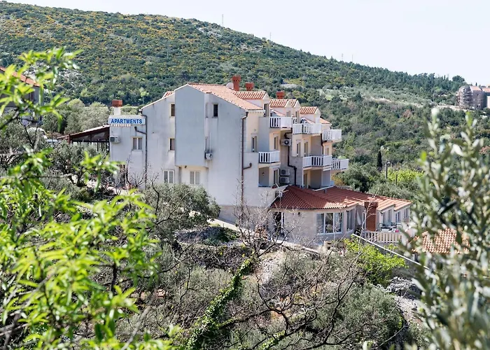 Bell Memories- With Terrace And Street View A1